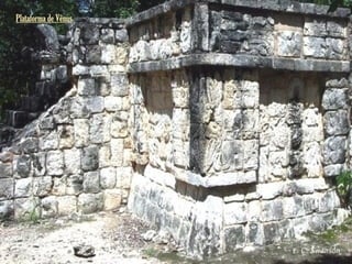 Plataforma de Vênus
 