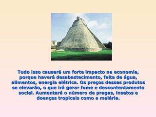 Tudo isso causará um forte impacto na economia, porque haverá desabastecimento, falta de água, alimentos, energia elétrica. Os preços desses produtos se elevarão, o que irá gerar fome e descontentamento social. Aumentará o número de pragas, insetos e doenças tropicais como a malária. 