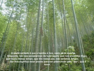A sexta verdade é que o bambu é ôco, vazio de si mesmo.
Enquanto não nos esvaziarmos de tudo aquilo que nos preenche (Ego),
que rouba nosso tempo, que tira nossa paz, não seremos felizes.
Ser ôco significa estar pronto para ser preenchido pelo “Ser”, que é
Amor.
 