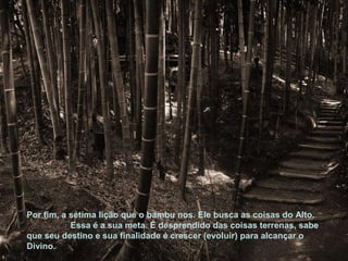 Por fim, a sétima lição que o bambu nos. Ele busca as coisas do Alto.
Essa é a sua meta. É desprendido das coisas terrenas, sabe
que seu destino e sua finalidade é crescer (evoluir) para alcançar o
Divino.
 