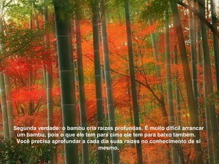 Segunda verdade: o bambu cria raízes profundas. É muito difícil arrancar
um bambu, pois o que ele tem para cima ele tem para baixo também.
Você precisa aprofundar a cada dia suas raízes no conhecimento de si
mesmo.
 