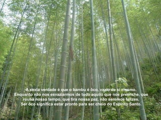 A sexta verdade é que o bambu é ôco, vazio de si mesmo.
Enquanto não nos esvaziarmos de tudo aquilo que nos preenche, que
    rouba nosso tempo, que tira nossa paz, não seremos felizes.
   Ser ôco significa estar pronto para ser cheio do Espírito Santo.
 