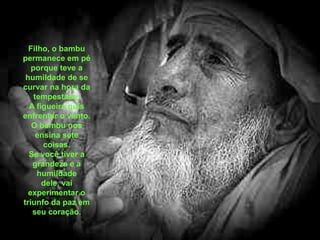 Filho, o bambu
permanece em pé
   porque teve a
 humildade de se
curvar na hora da
    tempestade.
  A figueira quis
enfrentar o vento.
   O bambu nos
     ensina sete
       coisas.
  Se você tiver a
   grandeza e a
     humildade
      dele, vai
  experimentar o
triunfo da paz em
   seu coração.
 