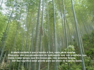 A sexta verdade é que o bambu é ôco, vazio de si mesmo.  Enquanto não nos esvaziarmos de tudo aquilo que nos preenche, que rouba nosso tempo, que tira nossa paz, não seremos felizes.  Ser ôco significa estar pronto para ser cheio do Espírito Santo. 