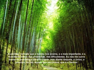A primeira verdade que o bambu nos ensina, e a mais importante, é a humildade diante dos problemas, das dificuldades. Eu não me curvo diante do problema e da dificuldade, mas diante daquele, o único, o princípio da paz, aquele que me chama, que é o Senhor. 