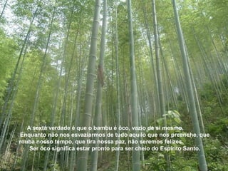 A sexta verdade é que o bambu é ôco, vazio de si mesmo. 
Enquanto não nos esvaziarmos de tudo aquilo que nos preenche, que 
rouba nosso tempo, que tira nossa paz, não seremos felizes. 
Ser ôco significa estar pronto para ser cheio do Espírito Santo. 
 