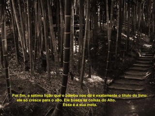 Por fim, a sétima lição que o bambu nos dá é exatamente o título do livro: 
ele só cresce para o alto. Ele busca as coisas do Alto. 
Essa é a sua meta. 
 