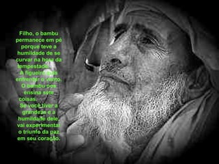 Filho, o bambu 
permanece em pé 
porque teve a 
humildade de se 
curvar na hora da 
tempestade. 
A figueira quis 
enfrentar o vento. 
O bambu nos 
ensina sete 
coisas. 
Se você tiver a 
grandeza e a 
humildade dele, 
vai experimentar 
o triunfo da paz 
em seu coração. 
 