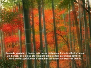 Segunda verdade: o bambu cria raízes profundas. É muito difícil arrancar 
um bambu, pois o que ele tem para cima ele tem para baixo também. 
Você precisa aprofundar a cada dia suas raízes em Deus na oração. 
 