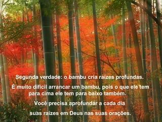 Segunda verdade: o bambu cria raízes profundas.  É muito difícil arrancar um bambu, pois o que ele tem para cima ele tem para baixo também.  Você precisa aprofundar a cada dia  suas raízes em Deus nas suas orações. 