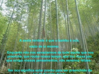 A sexta verdade é que o bambu é oco,  vazio de si mesmo.  Enquanto não nos esvaziarmos de tudo aquilo que nos preenche, que rouba nosso tempo, que tira nossa paz, que ocupa nossos pensamentos, não seremos felizes.  Ser oco significa estar pronto para ser preenchido da luz do Espírito Santo. 