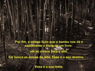 Por fim, a sétima lição que o bambu nos dá é exatamente o título de um livro:  ele só cresce para o alto. Ele busca as coisas do Alto. Esse é o seu destino.  Essa é a sua meta. 