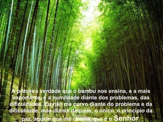 A primeira verdade que o bambu nos ensina, e a mais importante, é a humildade diante dos problemas, das dificuldades. Eu não me curvo diante do problema e da dificuldade, mas diante daquele, o único, o princípio da paz, aquele que me chama, que é o  Senhor . 