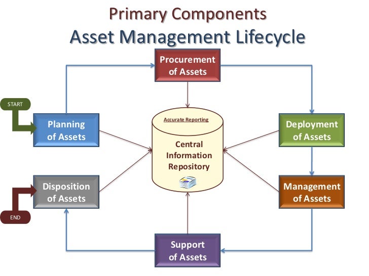 Asset Management Components by Cydney Davis