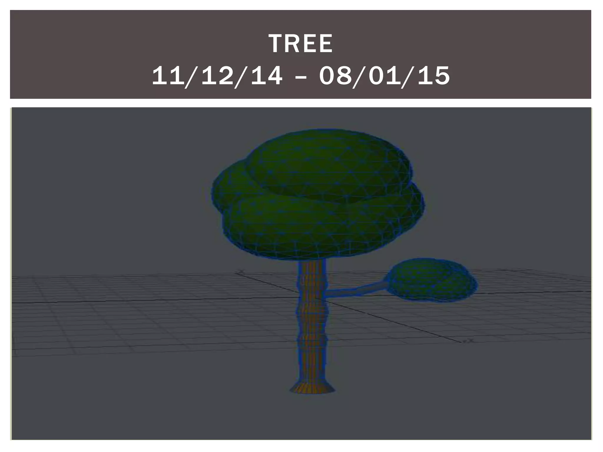 TREE
11/12/14 – 08/01/15
 