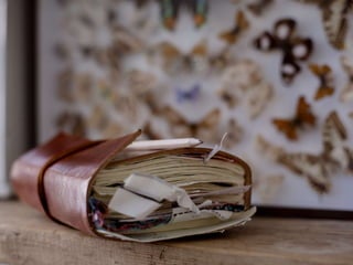 Ethnography
9
 