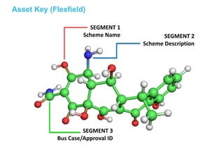Asset segments | PPTX