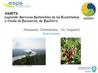 ASSETS
Logrando Servicios Sostenibles de los Ecosistemas
a través de Escenarios de Equilibrio

                      Amazonia Colombiana, río Caquetá
                                        Erwin Palacios




     Fotos Erwin Palacios CI Colombia
 