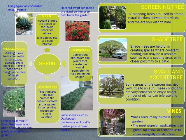 lecture 4 : types of planting design