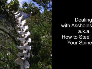 Dealing
with Assholes
       a.k.a.
How to Steel
   Your Spine
 