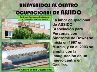 BIENVENIDOS AL CENTRO
OCUPACIONAL DE ASSIDO
La labor ocupacional
de ASSIDO
(Asociación para
Personas con
Síndrome de Down) se
inicia en 1997 en
Murcia, y en el 2003 se
amplía con la
inauguración de un
nuevo centro en
Casillas.
Centro de Formación Profesional
y Transición a la Vida Adulta
Centro de Día Ocupacional
 