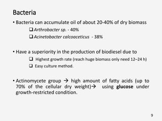 Bacteria
• Bacteria can accumulate oil of about 20-40% of dry biomass
Arthrobacter sp. - 40%
Acinetobacter calcoaceticus - 38%
• Have a superiority in the production of biodiesel due to
 Highest growth rate (reach huge biomass only need 12–24 h)
 Easy culture method.
• Actinomycete group  high amount of fatty acids (up to
70% of the cellular dry weight) using glucose under
growth-restricted condition.
9
 