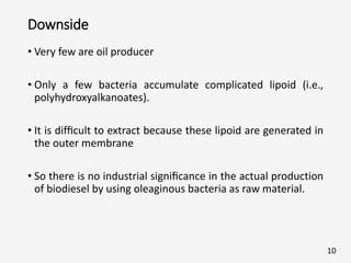 Downside
• Very few are oil producer
• Only a few bacteria accumulate complicated lipoid (i.e.,
polyhydroxyalkanoates).
• It is difﬁcult to extract because these lipoid are generated in
the outer membrane
• So there is no industrial signiﬁcance in the actual production
of biodiesel by using oleaginous bacteria as raw material.
10
 