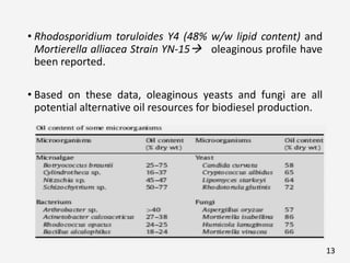 • Rhodosporidium toruloides Y4 (48% w/w lipid content) and
Mortierella alliacea Strain YN-15 oleaginous profile have
been reported.
• Based on these data, oleaginous yeasts and fungi are all
potential alternative oil resources for biodiesel production.
13
 