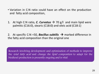 • Variation in C:N ratio could have an effect on the production
and fatty acid composition,
1. At high C:N ratio, C. Curvatus  70 g/l and main lipid were
palmitic (C16:0), stearic (C18:0) and oleic acid (C18:1)
2. At specific C:N =50, Bacillus subtilis  marked difference in
the fatty acid composition than the original one
Research involving development and optimization of methods to improve
the total fatty acid and change the lipid composition to adapt for the
biodiesel production is presently ongoing and is vital
29
 