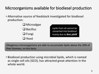 Microorganisms available for biodiesel production
• Alternative source of feedstock investigated for biodiesel
production:
 Microalgae
 Bacillus
 Fungi
 Yeast
• Biodiesel production using microbial lipids, which is named
as single cell oils (SCO), has attracted great attention in the
whole world.
3
Oleaginous microorganisms are able to accumulate lipids above the 20% of
their biomass, on dry basis.
Lipids from all cannot be
converted into biodiesel
mainly due to less yield
 