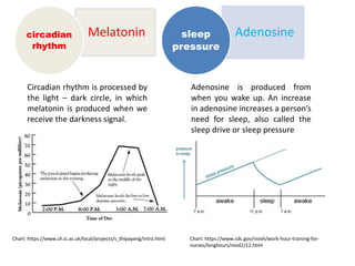 Sleep and Jet lag | PPTX