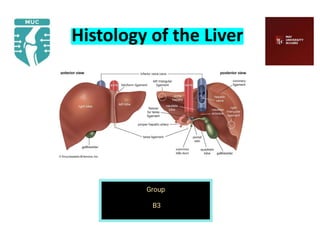 Histology of the Liver
Trishna Kisiju
Group
B3
under supervision of Dr : Reda Mohammed
 