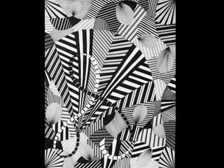 Assignment: Line and Direction DEBEAUFORT