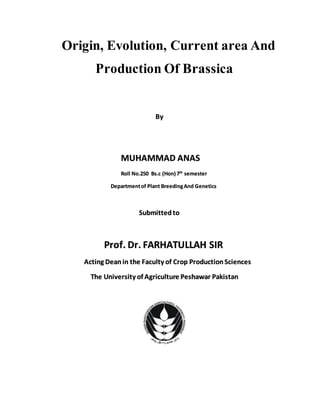 Origin, Evolution, Current area And
Production Of Brassica
By
MUHAMMAD ANAS
Roll No.250 Bs.c (Hon) 7th
semester
Departmentof Plant BreedingAnd Genetics
Submitted to
Prof. Dr. FARHATULLAH SIR
Acting Deanin the Faculty of Crop ProductionSciences
The University of Agriculture Peshawar Pakistan
 