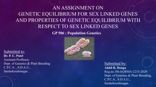AN ASSIGNMENT ON
GENETIC EQUILIBRIUM FOR SEX LINKED GENES
AND PROPERTIES OF GENETIC EQUILIBRIUM WITH
RESPECT TO SEX LINKED GENES
Submitted to:
Dr. P. C. Patel
Assistant Proffesor,
Dept. of Genetics & Plant Breeding
C.P.C.A. , S.D.A.U.,
Sardarkrushinagar.
Submitted by:
Akhil R. Donga
Reg.no.:04-AGRMA-2215-2020
Dept. of Genetics & Plant Breeding,
C.P.C.A., S.D.A.U.,
Sardarkrushinagar.
GP 506 : Population Genetics
 