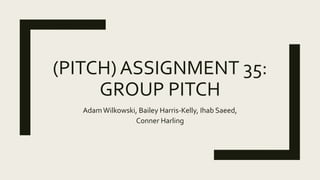(PITCH) ASSIGNMENT 35:
GROUP PITCH
AdamWilkowski, Bailey Harris-Kelly, Ihab Saeed,
Conner Harling
 