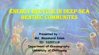 ENERGY RECYCLE IN DEEP-SEA
BENTHIC COMMUNITES
Presented by :
Md. Mazaharul Islam
ID: 16207119
Department of Oceanography,
University of Chittagong
 