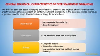 The benthic zone can occur in varying environments, chemical and physical characteristics vary
greatly and are often dependent on context. Nutrient availability in the deep sea is also scarce, so
organisms need to adapt themselves accordingly to survive here.
• Late reproductive maturity.
• Slow development
Reproduction
• Low metabolic rate and activity levelPhysiology
• Long lived species
• Slow colonization rates
• Low population densities, but high species
diversity
Ecology
To be continued...
 