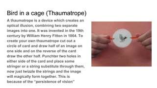 Bird in a cage (Thaumatrope)
A thaumatrope is a device which creates an
optical illusion, combining two separate
images into one. It was invented in the 19th
century by William Henry Fitton in 1864. To
create your own thaumatrope cut out a
circle of card and draw half of an image on
one side and on the reverse of the card
draw the other half. Punchter two holes in
either side of the card and place some
stringer or a string substitute through them,
now just twizzle the strings and the image
will magically form together. This is
because of the “persistence of vision”
 