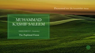 MUHAMMAD
KASHIF SALEEM
Presented to: Dr.Assadullah Awan
ASSIGNMENT: (Anatomy)
The Popliteal Fossa
 
