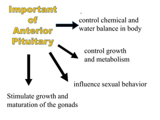 .
                           control chemical and
                           water balance in body


                               control growth
                               and metabolism


                      influence sexual behavior
Stimulate growth and
maturation of the gonads
 
