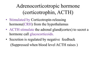 Adrenocorticotropic hormone
        (corticotrophin, ACTH)
• Stimulated by Corticotropin-releasing
  hormone(CRH) from the hypothalamus
• ACTH stimulate the adrenal gland(cortex) to secret a
  hormone call glucocorticoids.
• Secretion is regulated by negative feedback
   (Suppressed when blood level ACTH raises )
 