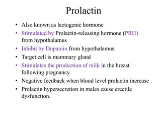 Prolactin
• Also known as lactogenic hormone
• Stimulated by Prolactin-releasing hormone (PRH)
  from hypothalamus
• Inhibit by Dopamin from hypothalamus
• Target cell is mammary gland
• Stimulates the production of milk in the breast
  following pregnancy.
• Negative feedback when blood level prolactin increase
• Prolactin hypersecretion in males cause erectile
  dysfunction.
 