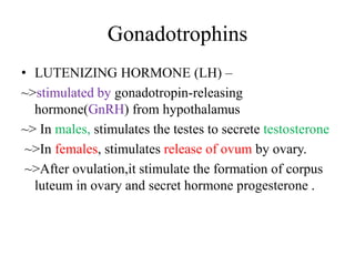 Gonadotrophins
• LUTENIZING HORMONE (LH) –
~>stimulated by gonadotropin-releasing
  hormone(GnRH) from hypothalamus
~> In males, stimulates the testes to secrete testosterone
 ~>In females, stimulates release of ovum by ovary.
 ~>After ovulation,it stimulate the formation of corpus
  luteum in ovary and secret hormone progesterone .
 