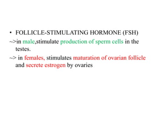 • FOLLICLE-STIMULATING HORMONE (FSH)
~>in male,stimulate production of sperm cells in the
  testes.
~> in females, stimulates maturation of ovarian follicle
  and secrete estrogen by ovaries
 