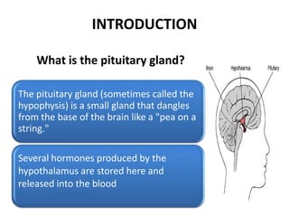 INTRODUCTION

    What is the pituitary gland?

The pituitary gland (sometimes called the
hypophysis) is a small gland that dangles
from the base of the brain like a "pea on a
string."

Several hormones produced by the
hypothalamus are stored here and
released into the blood
 