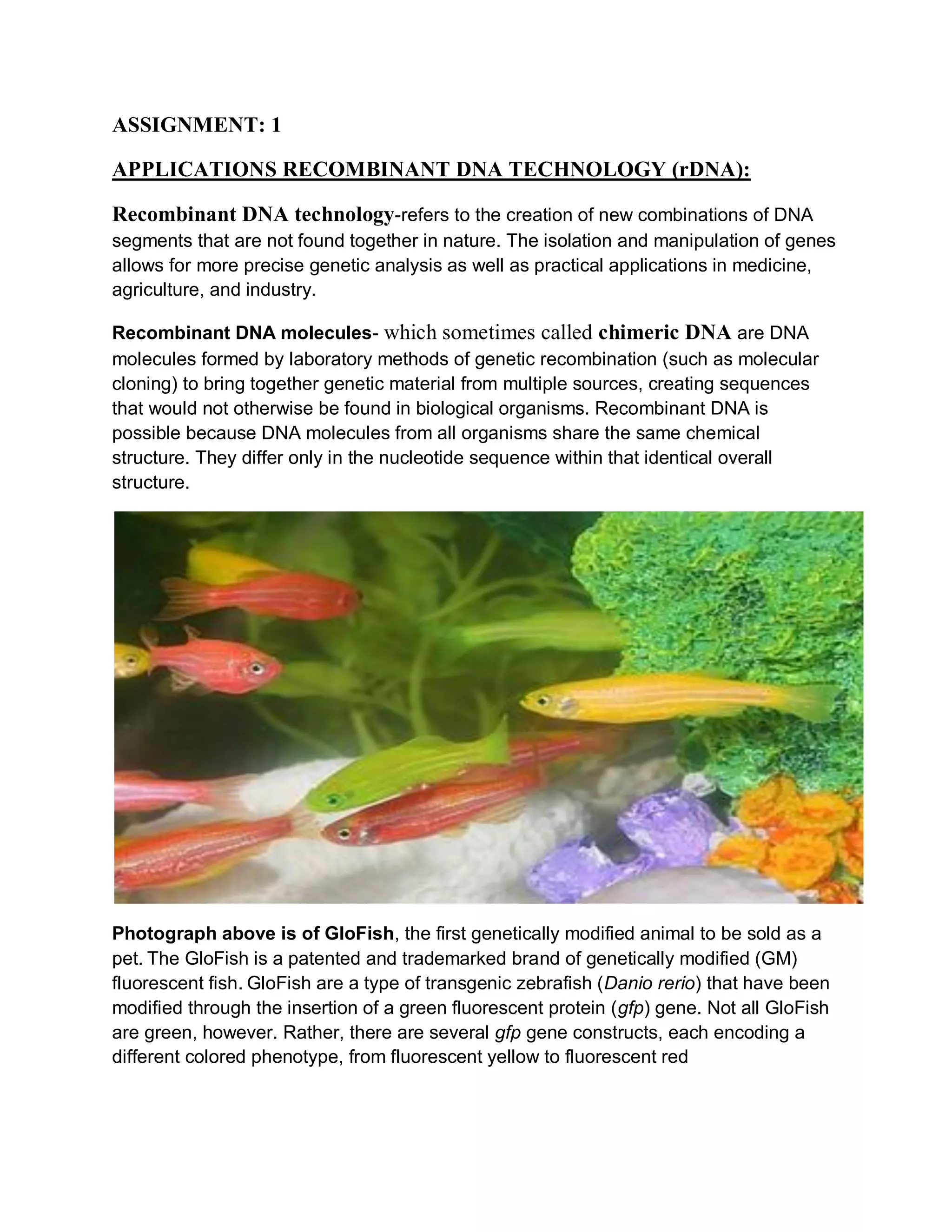 ASSIGNMENT: 1
APPLICATIONS RECOMBINANT DNA TECHNOLOGY (rDNA):
Recombinant DNA technology-refers to the creation of new combinations of DNA
segments that are not found together in nature. The isolation and manipulation of genes
allows for more precise genetic analysis as well as practical applications in medicine,
agriculture, and industry.
Recombinant DNA molecules- which sometimes called chimeric DNA are DNA
molecules formed by laboratory methods of genetic recombination (such as molecular
cloning) to bring together genetic material from multiple sources, creating sequences
that would not otherwise be found in biological organisms. Recombinant DNA is
possible because DNA molecules from all organisms share the same chemical
structure. They differ only in the nucleotide sequence within that identical overall
structure.

Photograph above is of GloFish, the first genetically modified animal to be sold as a
pet. The GloFish is a patented and trademarked brand of genetically modified (GM)
fluorescent fish. GloFish are a type of transgenic zebrafish (Danio rerio) that have been
modified through the insertion of a green fluorescent protein (gfp) gene. Not all GloFish
are green, however. Rather, there are several gfp gene constructs, each encoding a
different colored phenotype, from fluorescent yellow to fluorescent red

 
