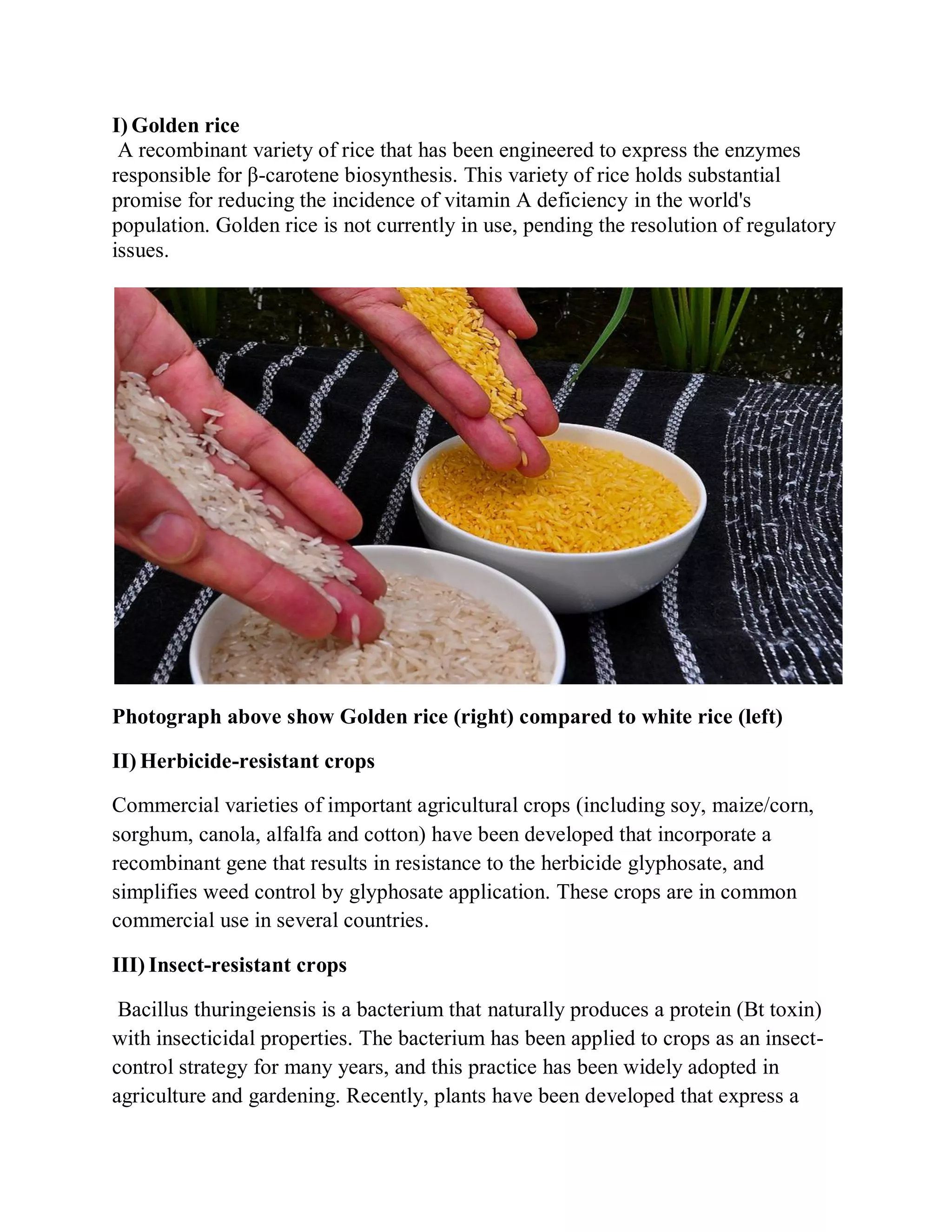I) Golden rice
A recombinant variety of rice that has been engineered to express the enzymes
responsible for β-carotene biosynthesis. This variety of rice holds substantial
promise for reducing the incidence of vitamin A deficiency in the world's
population. Golden rice is not currently in use, pending the resolution of regulatory
issues.

Photograph above show Golden rice (right) compared to white rice (left)
II) Herbicide-resistant crops
Commercial varieties of important agricultural crops (including soy, maize/corn,
sorghum, canola, alfalfa and cotton) have been developed that incorporate a
recombinant gene that results in resistance to the herbicide glyphosate, and
simplifies weed control by glyphosate application. These crops are in common
commercial use in several countries.
III) Insect-resistant crops
Bacillus thuringeiensis is a bacterium that naturally produces a protein (Bt toxin)
with insecticidal properties. The bacterium has been applied to crops as an insectcontrol strategy for many years, and this practice has been widely adopted in
agriculture and gardening. Recently, plants have been developed that express a

 