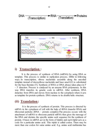 12 
i) Transcription : 
It is the process of synthesis of RNA (mRNA) by using DNA as 
template. This process is similar to replication process. Differ in following 
ways. In transcription, ribose nucleotide assemble along the uncoiled 
template instead of deoxyribose nucleotide and base uracil (U) is substituted 
for the base thymine (T). Synthesis of RNA or DNA always takes place in 5' 
- 3' direction. Process is catalysed by an enzyme RNA polymerase. In this 
way DNA transfers its genetic code to mRNA. After synthesis, RNA 
detaches from DNA and moves from nucleus to the cytoplasm where it acts 
as template for protein synthesis. DNA returns to its double helix structure. 
(ii) Translation : 
It is the process of synthesis of protein. This process is directed by 
mRNA in the cytoplasm of cell with the help of tRNA (transfer RNA) and 
ribosomal particles (RNA – protein complex).The process occurs with the 
attachment of mRNA to ribosome particle mRNA then gives the message of 
the DNA and dictates the specific amino acid sequence for the synthesis of 
protein. 4 bases in mRNA act in the form of triplets and each triplet acts as a 
code for a particular amino acid. This triplet is called codon. There may be 
more than one codon for same amino acid. E.g. amino acid methionine has 
 