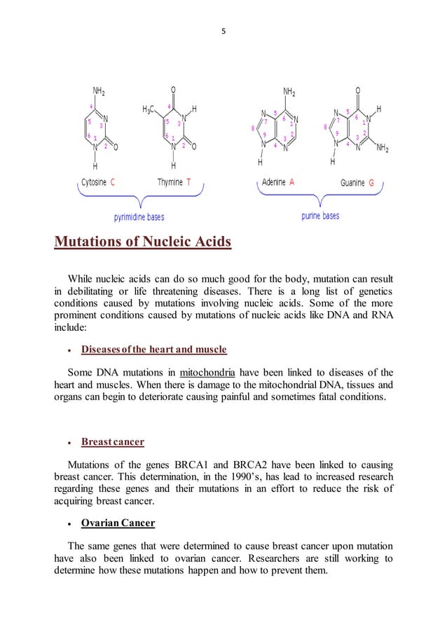Biological functions of Nucleic Acids